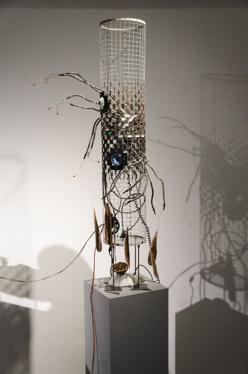 Hans Holger Rutz & Nayarí Castillo: Rogues. Foto: Matej Pirkovič / Pixxelpoint