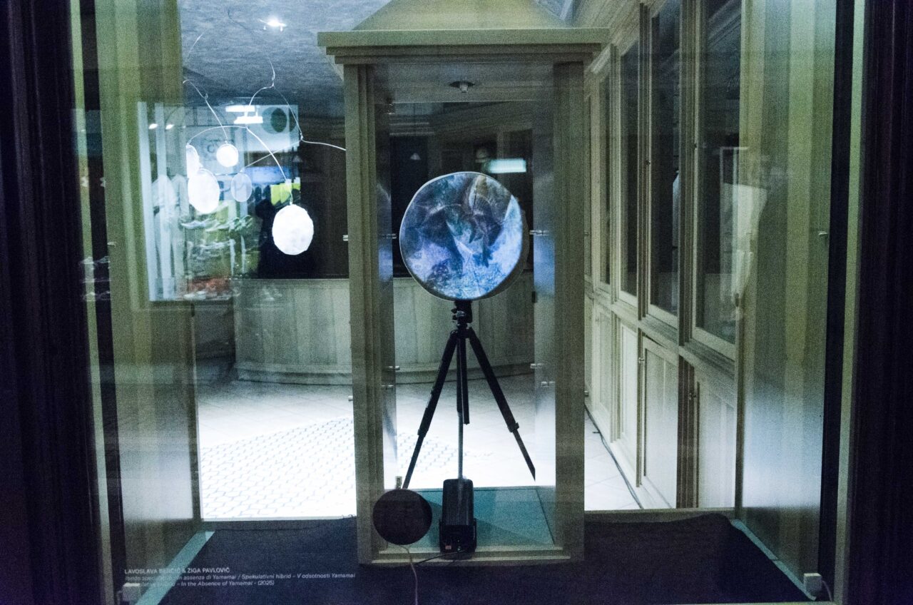 Razstava v galeriji Rastellier. Foto: Matej Pirkovič / Pixxelpoint