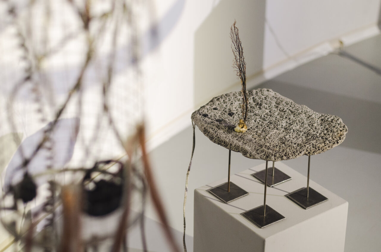 Hans Holger Rutz & Nayarí Castillo: Rogues. Foto: Matej Pirkovič / Pixxelpoint